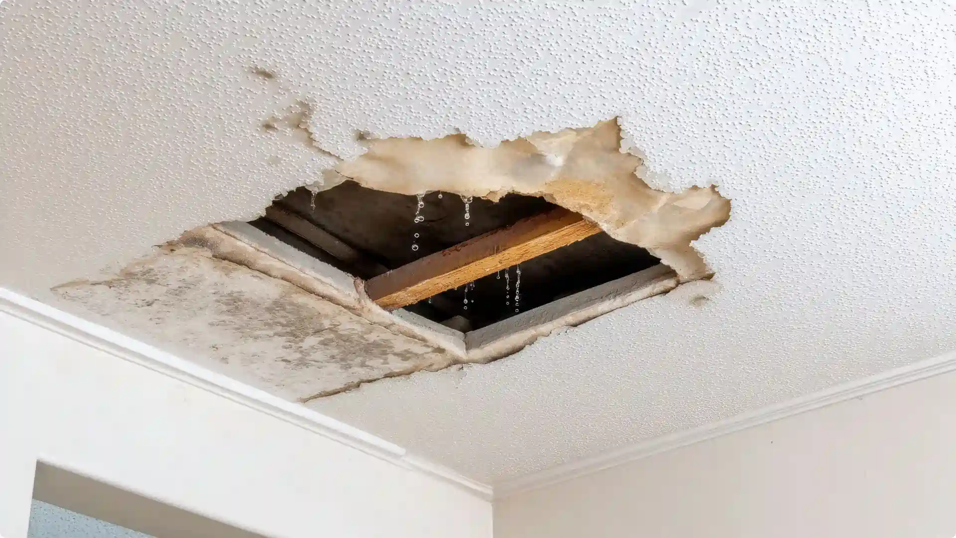 Infiltration toiture détectée Rouen
