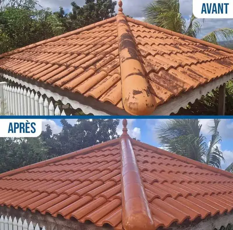 Protection durable toiture hydrofuge